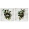 Stupell Industries Rustic Vintage Bird Nests 2pc Canvas Set Design by Susan Arnot